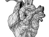 Pencil Drawing Of A Human Heart Poligonal Heart Tattoo Anatomical Heart Drawings Heart Art