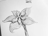 Pencil Drawings Of Flower Gardens Creating Fantasy Flowers for Fun Pencil Drawing Doodle
