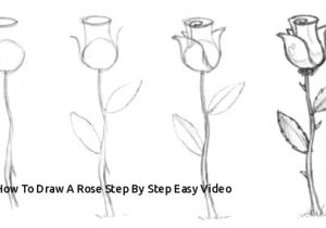Pic Of A Drawing Of A Rose How to Draw A Rose Step by Step Easy Video Easy to Draw Rose Luxury