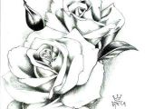 Picture Of A Drawing Of A Rose Drawings and Pictures Awesome Drawing Coloring Pages Awesome How to