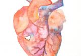 Picture Of A Real Heart Drawing Anatomy Of Love Human Heart Watercolor Print Diy Inspiration