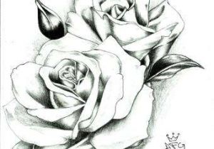 Picture Of A Rose Drawing Easy 27 Exotic Ideas to Draw Helpsite Us