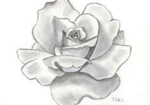 Picture Of A Rose Drawing Easy 58 Best Draw Flowers Images Flower Designs Quote Coloring Pages