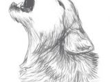 Pictures Of A Drawing Of A Wolf 202 Best Wolf Sketch Images In 2019 Drawing Techniques Animal