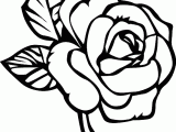 Printable Drawing Of A Rose Flower Page Printable Coloring Sheets Page Flowers Coloring Pages