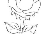 Printable Drawing Of A Rose Printable Valentines Day Rose Coloring Pages Printable Coloring