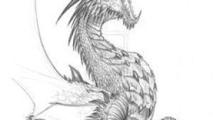 Professional Drawings Of Dragons 18 Best Dragons Images Dragon Sketch Dragon Drawings Dragon Head