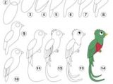 Quetzal Drawing Easy 235 Best Drawing Images