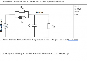 R Drawing Function solved 1 A Simplified Model Of the Cardiovascular System