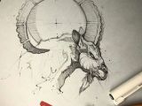 Ram Animal Drawing D Brilliant Animal Sketches D D Choose Your Favorite