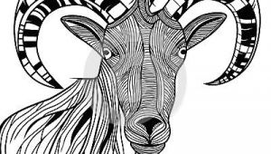 Ram Animal Drawing Ram Head by Svetap Via Dreamstime Animal Line Drawings In