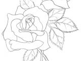 Rose Petals Drawings Pin by Teresa Zaja Cka On Sketchnoting Wybrane Drawings Coloring