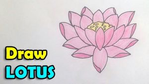 Simple Drawing Of Lotus Flower How to Draw Lotus Flower Step by Step Easy In This Video We are