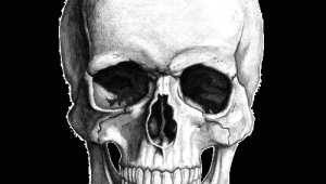 Skull Drawing Background White Skull Drawing Transparent Png Stickpng