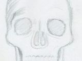 Skull Drawing Basic 213 Best Skull Sketch Images Skull Skulls Skull Tattoos