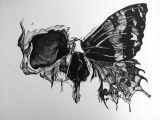 Skull Drawing butterfly Pin by Cheyanne Quantrell On Art Tattoos Skull Tattoos Tattoo