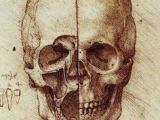 Skull Drawing Da Vinci 45 Best Leonardo S Sketches Images Da Vinci Drawings Drawing S
