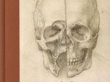 Skull Drawing Da Vinci A Rare Glimpse Of Leonardo Da Vinci S Anatomical Drawings Brain
