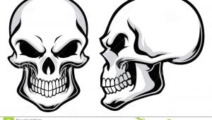 Skull Drawing Easy Cartoon Cartoon Skulls Stock Vector Illustration Of Creepy Antique 35934299