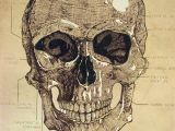 Skull Drawing for Halloween Skull Chart Halloween Pinterest Chart and Illustrations