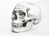Skull Drawing Front View Skull Drawing Art Drawings Skull Sketch Art