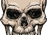 Skull Drawing Hashtags 165628919 Skull with Wide Open Mouth Gettyimag by Johnhiggins5 Art