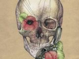 Skull Drawing Hashtags 227 Best Skull Bones Images Drawings Paintings Death