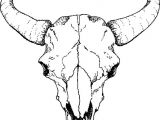 Skull Drawing Outline Buffalo Skull Drawings Skulls Drawi