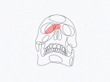 Skull Drawing Outline One Line Drawings Skull Animation Single Line Illustration Gif by