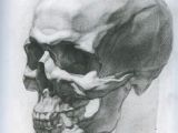 Skull Drawing Really Easy 139 Best Skull Drawing Anatomy Images Drawing Faces Pencil