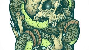 Skull Drawing with Snake Skull Snake Tattoo Sleeve Ideas for Art Pinterest Tattoos
