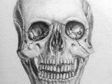 Skull without Jaw Drawing Pin by Megan On Art Drawings Art Drawings Pinterest