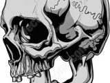 Skull without Jaw Drawing Side View Of Gray Human Skull Tats Pinterest Skull Skull Art