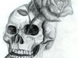 Skull without Jaw Drawing Skull and Rose by Dyslogistic On Deviantart Skull Art Draw
