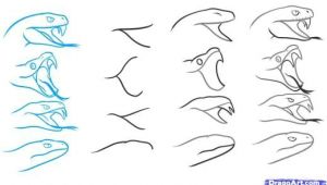 Snake Drawing Easy Step by Step Step 4 How to Draw A Snake Head Draw Snake Heads