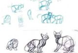 Speed Drawing Of A Cat Die 79 Besten Bilder Von Drawing Cats In 2019 Draw Animals