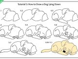 Step by Step Dog Drawing Easy Step by Step Guide On How to Draw A Dog for Kids Dog