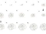Steps to Drawing A Rose for Beginners How to Draw A Flower Dr Odd