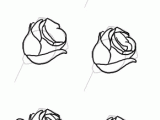 Steps to Drawing A Rose for Beginners Pinned by Www Simplenailarttips Com Tutorials Nail Art Design Ideas