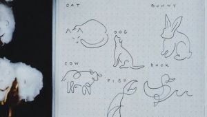 Straight Line Drawing Animals How to Draw Line Art Animals A One Line Drawing Tutorial