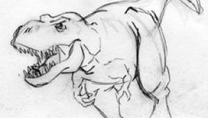 T Rex Dinosaur Drawing Easy 148 Best Dinosaur Drawing Images In 2019 Dinosaur Drawing