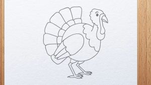 Thanksgiving Drawing Ideas Easy How to Draw A Cartoon Turkey Thanksgiving Day Drawings