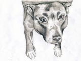 Tonal Drawing Of A Dog tonal Drawing Free Download On Ayoqq org