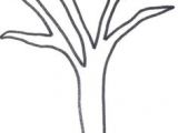 Trees that are Easy to Draw 22 Best Tree Trunk Drawing Images Tree Trunk Drawing Tree