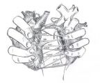 Tumblr Drawing Of Heart Appart Heart Arm Tatt Drawings Broken Heart Drawings Art