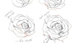 Tutorial for Drawing A Rose How to Draw A Rose Tutorial by Cherrimut On Tumblr Art Drawings