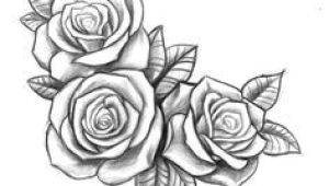 Types Of Roses Drawings Resultado De Imagen Para Three Black and Grey Roses Drawing Tattoo