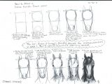 Unicorn Head Drawing Easy How to Draw A Horse Head Front View by A N 0 N Y M O U S