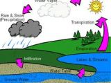 Water Cycle Drawing Easy 77 Best Water Water Cycle Images Water Cycle Teaching