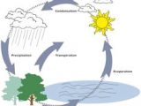 Water Cycle Drawing Easy 8 Best Water Cycle Diagram Images Water Cycle Teaching